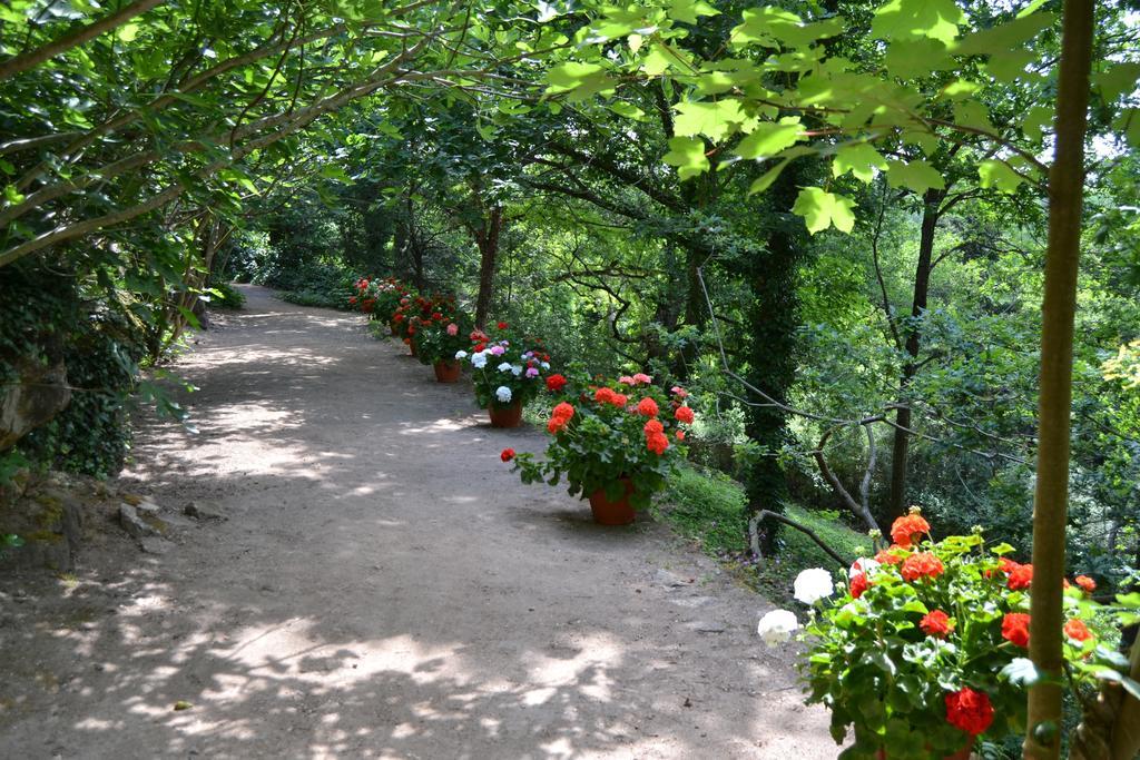 Vallon-en-Sully Chateau De Peufeilhoux מראה חיצוני תמונה